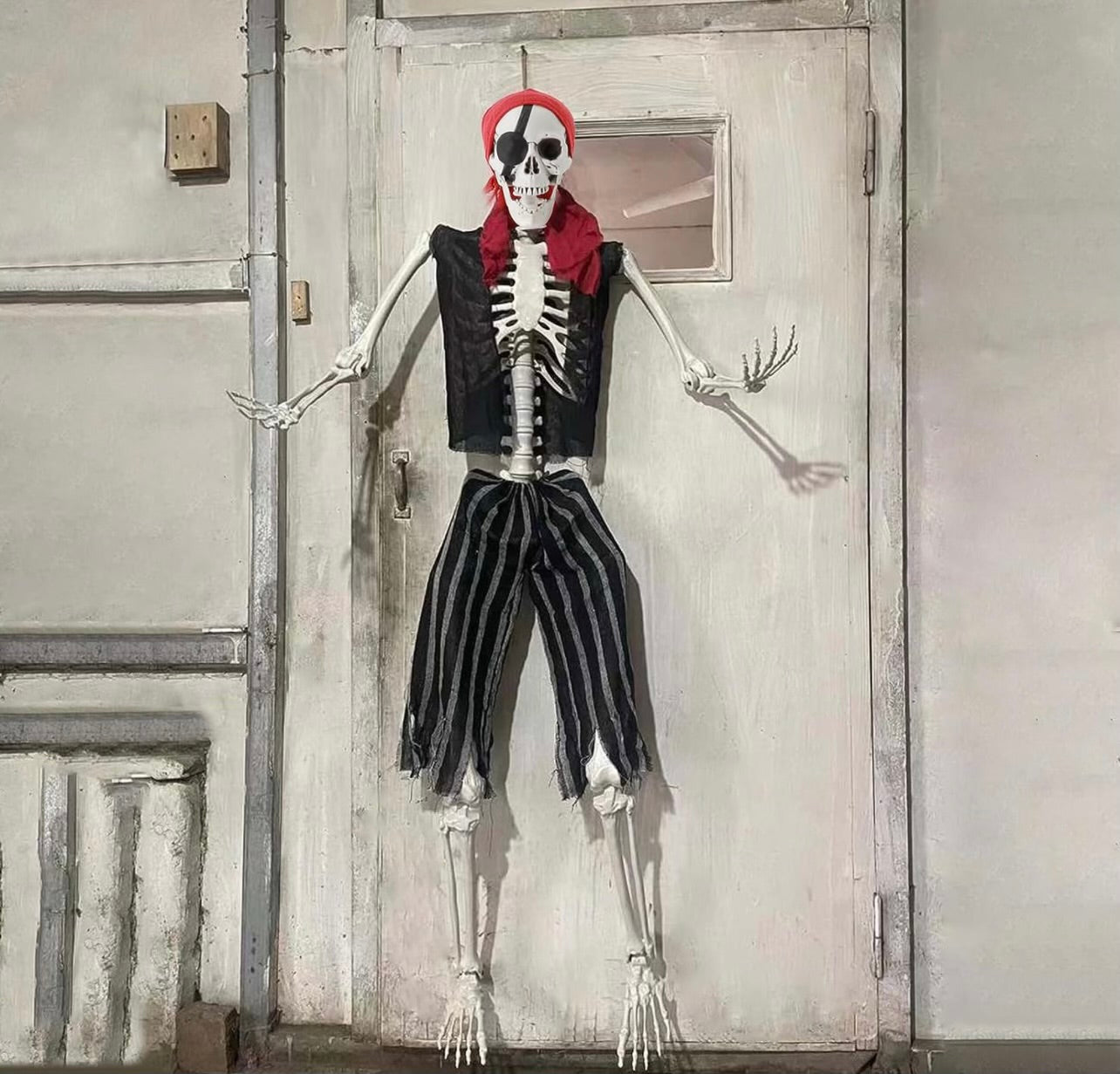 Skeleton Full Body