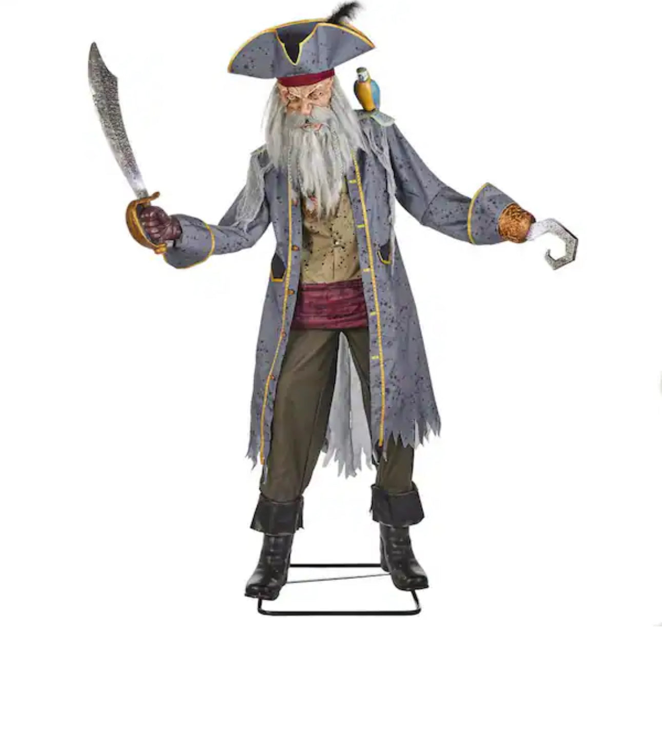 Animated Pirate Captain