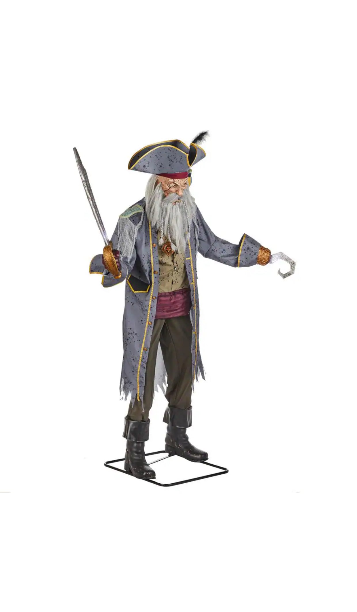 Animated Pirate Captain