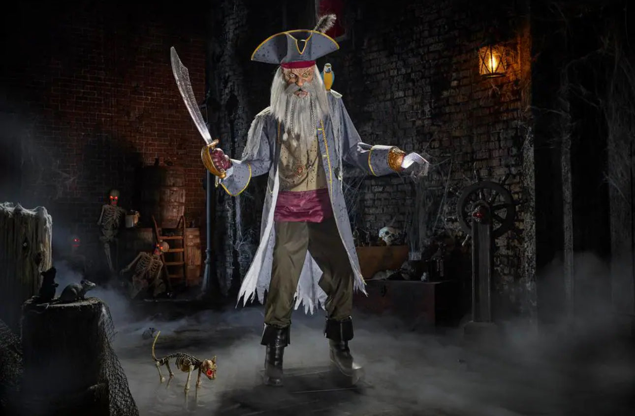 Animated Pirate Captain