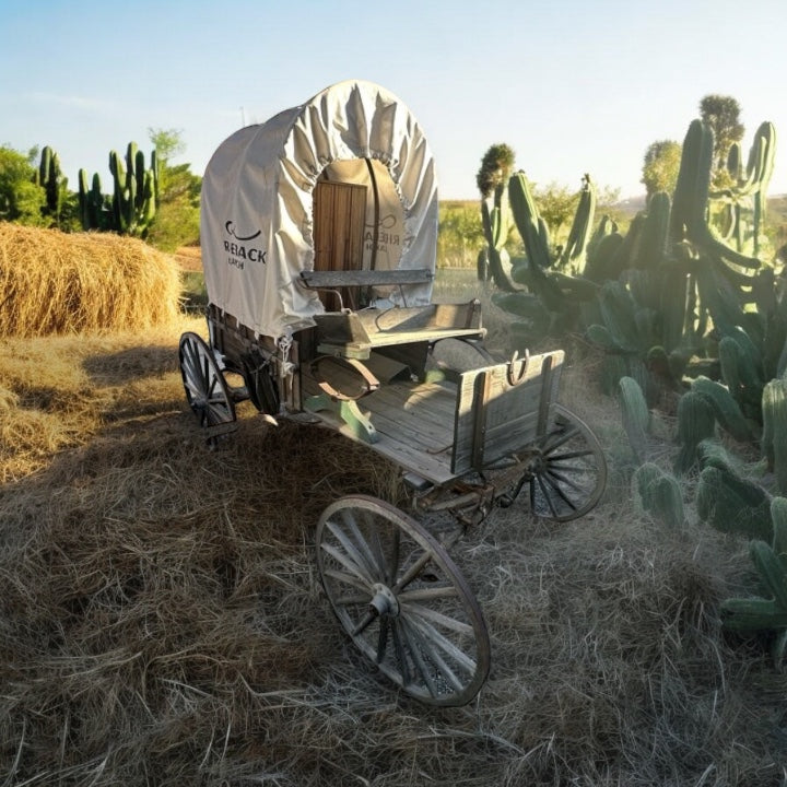 Life Size Wagon