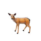 Deer Baby