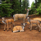 Deer Baby