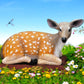 Deer Laying
