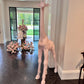 Adult Giraffe Pink - Custom Prop Rentals