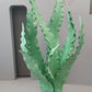 Algae Package - Custom Prop Rentals