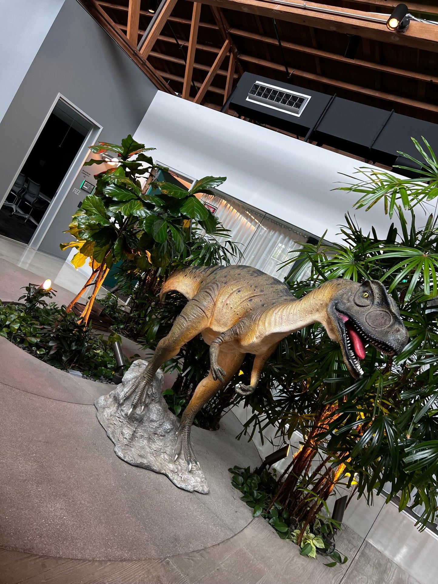 Allosaurus Dinosaur - Custom Prop Rentals