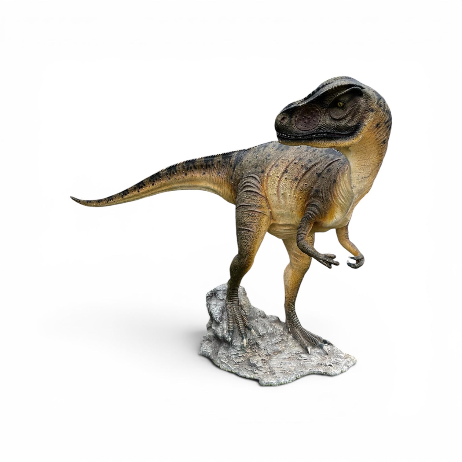 Allosaurus Dinosaur Head Turned - Custom Prop Rentals