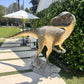 Allosaurus Dinosaur Head Turned - Custom Prop Rentals