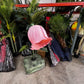 Animated Enchanted Flower Pink - Custom Prop Rentals