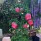 Animated Large Flower Pink - Custom Prop Rentals