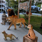 Animated Lion - Custom Prop Rentals