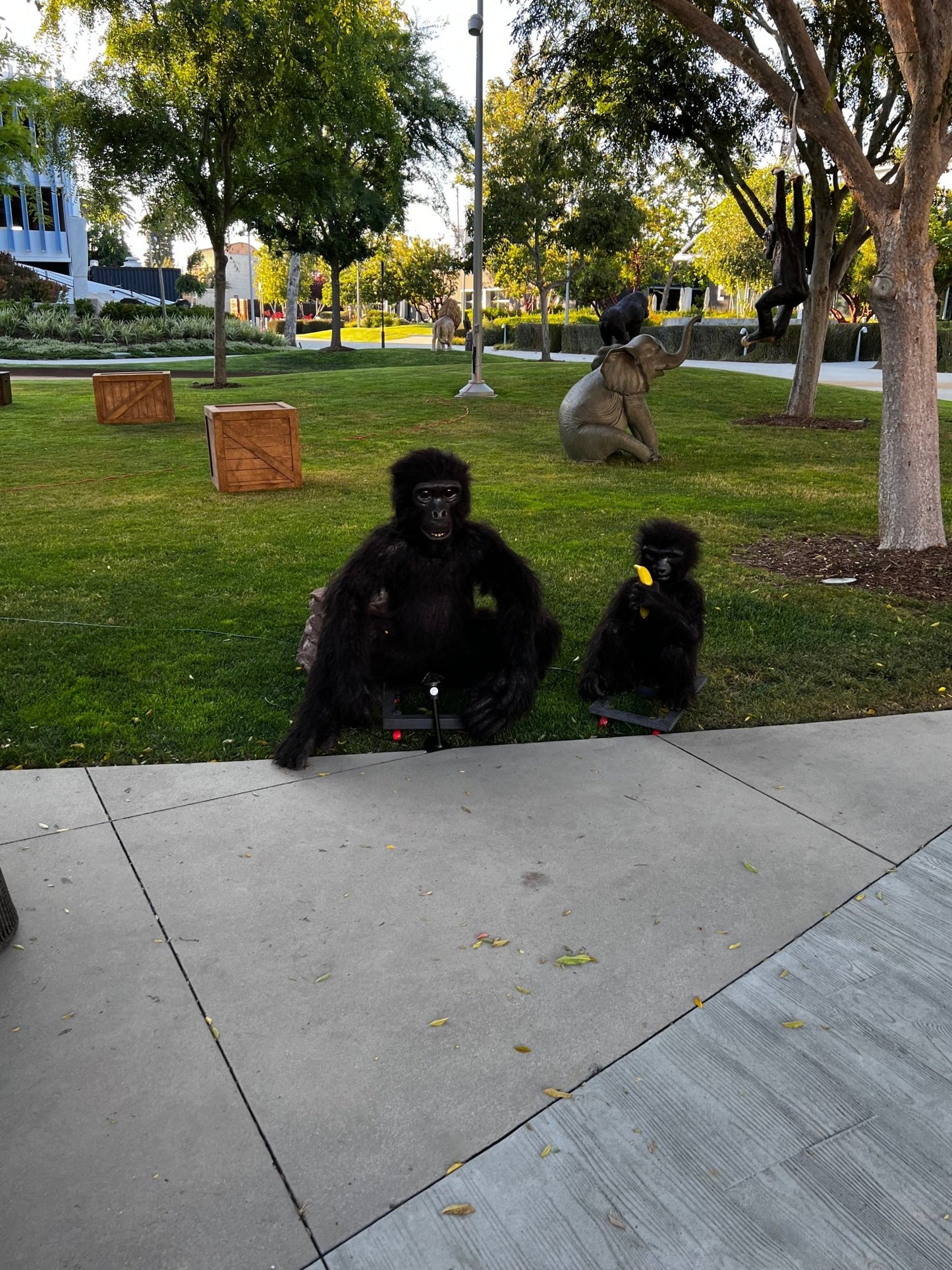 Animated Monkeys - Custom Prop Rentals
