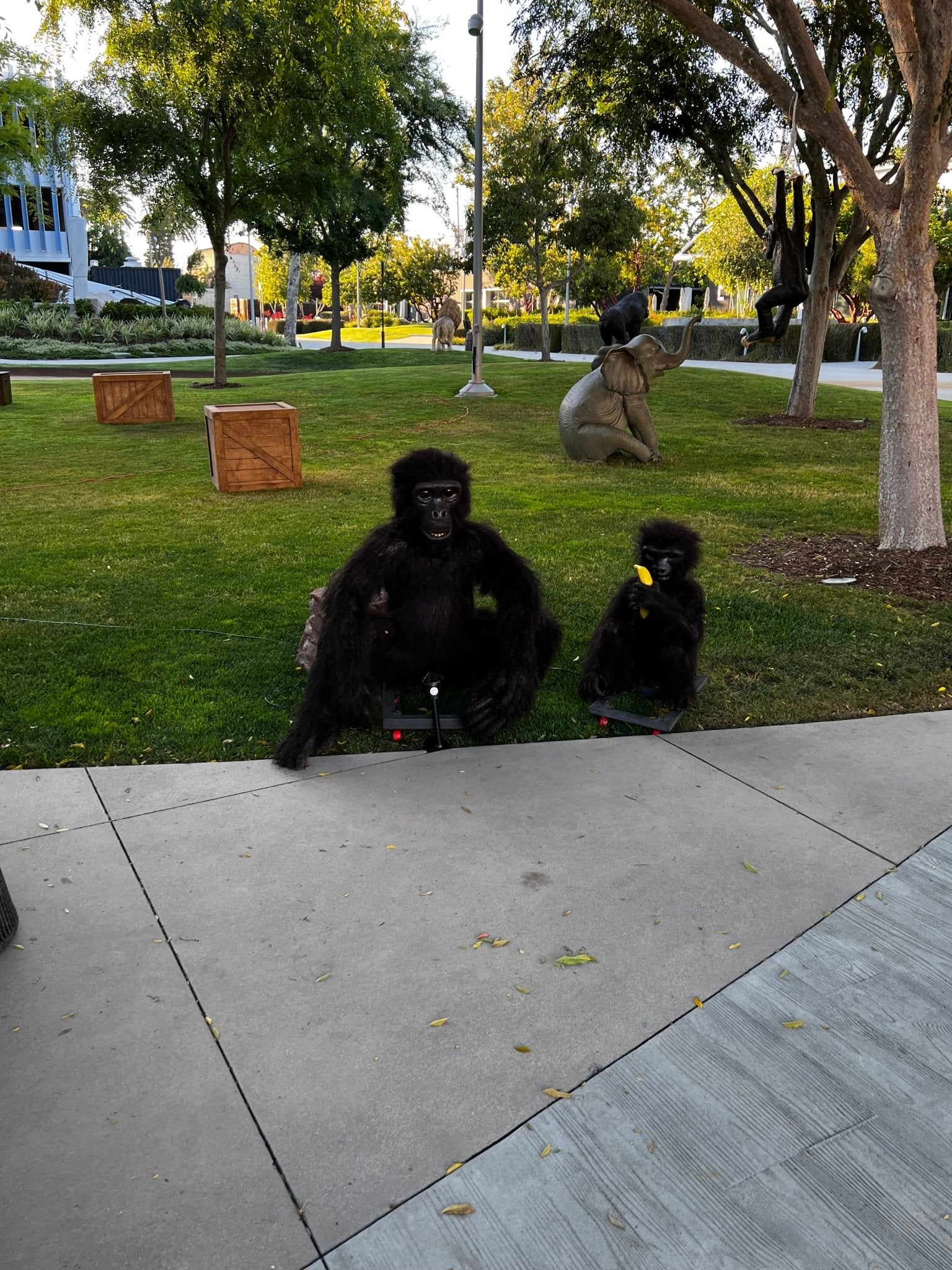 Animated Monkeys - Custom Prop Rentals