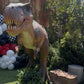 Animated T - Rex Rexy - Custom Prop Rentals