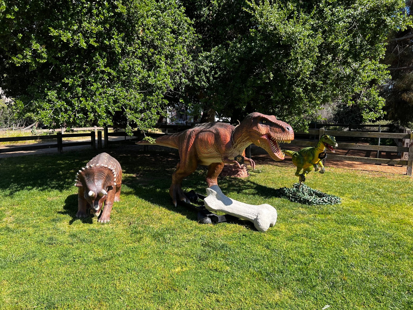 Animated T - Rex Rexy - Custom Prop Rentals