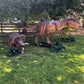 Animated T - Rex Rexy - Custom Prop Rentals
