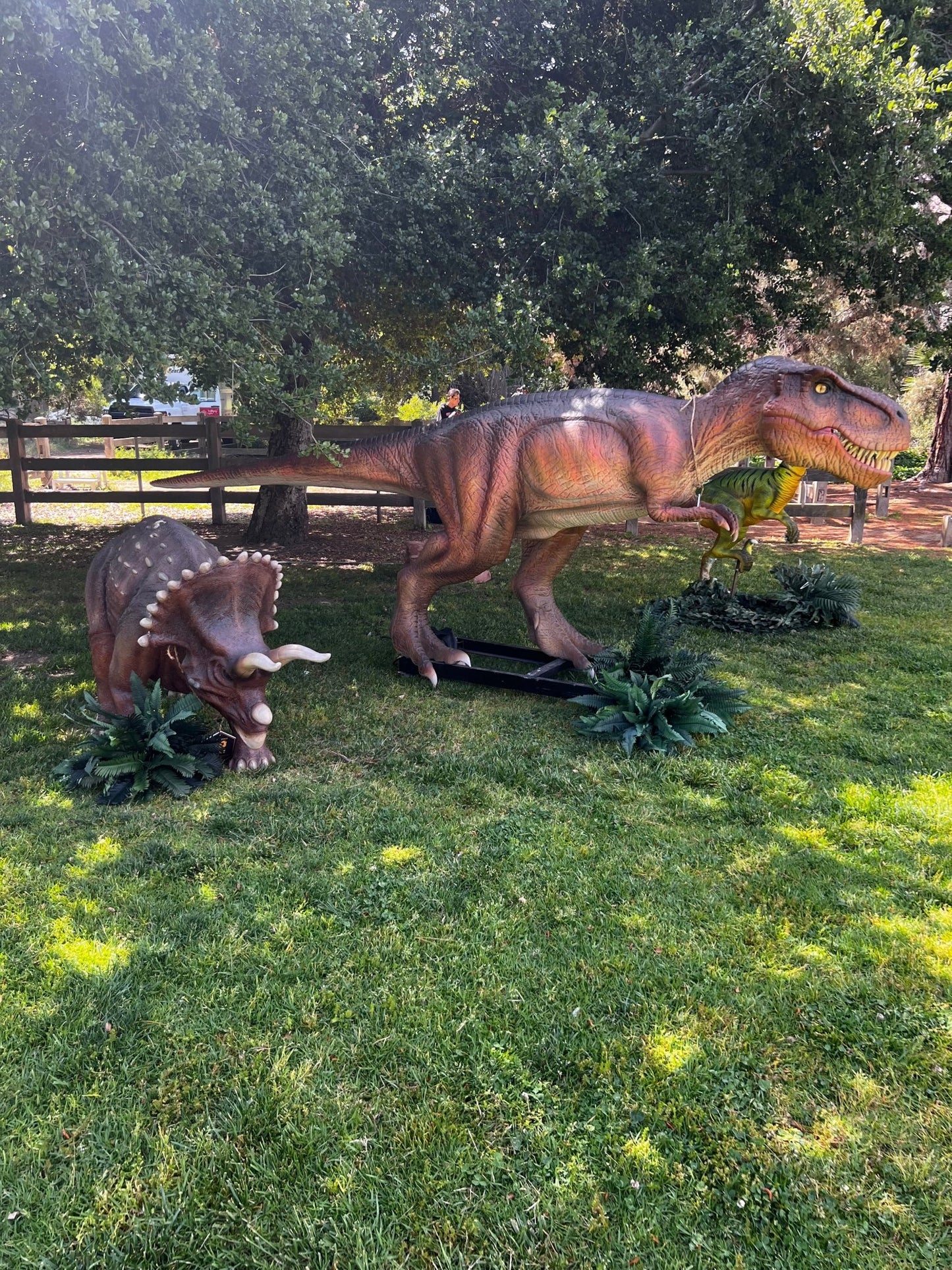 Animated T - Rex Rexy - Custom Prop Rentals