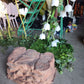 Artificial Rock - Custom Prop Rentals