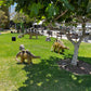 Artificial Rock Small - Custom Prop Rentals