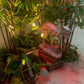 Australovenator Small - Custom Prop Rentals