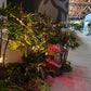 Australovenator Small - Custom Prop Rentals