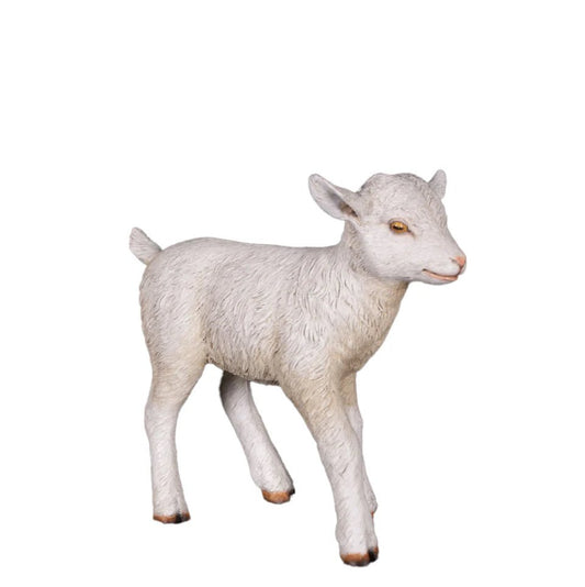 Baby Goat Standing - Custom Prop Rentals
