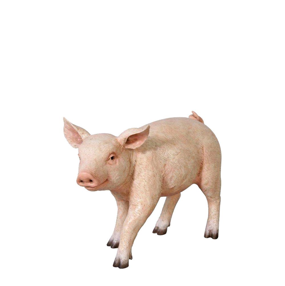 Baby Pig Walking - Custom Prop Rentals