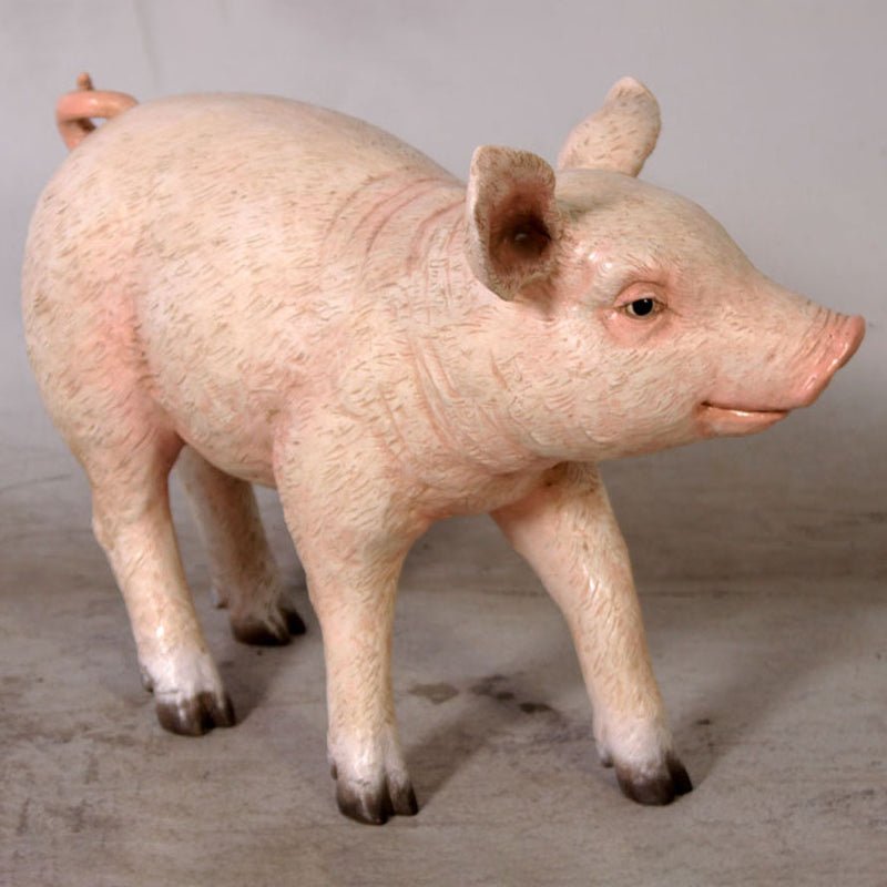 Baby Pig Walking - Custom Prop Rentals