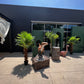 Backdrop Green 4 Piece - Custom Prop Rentals