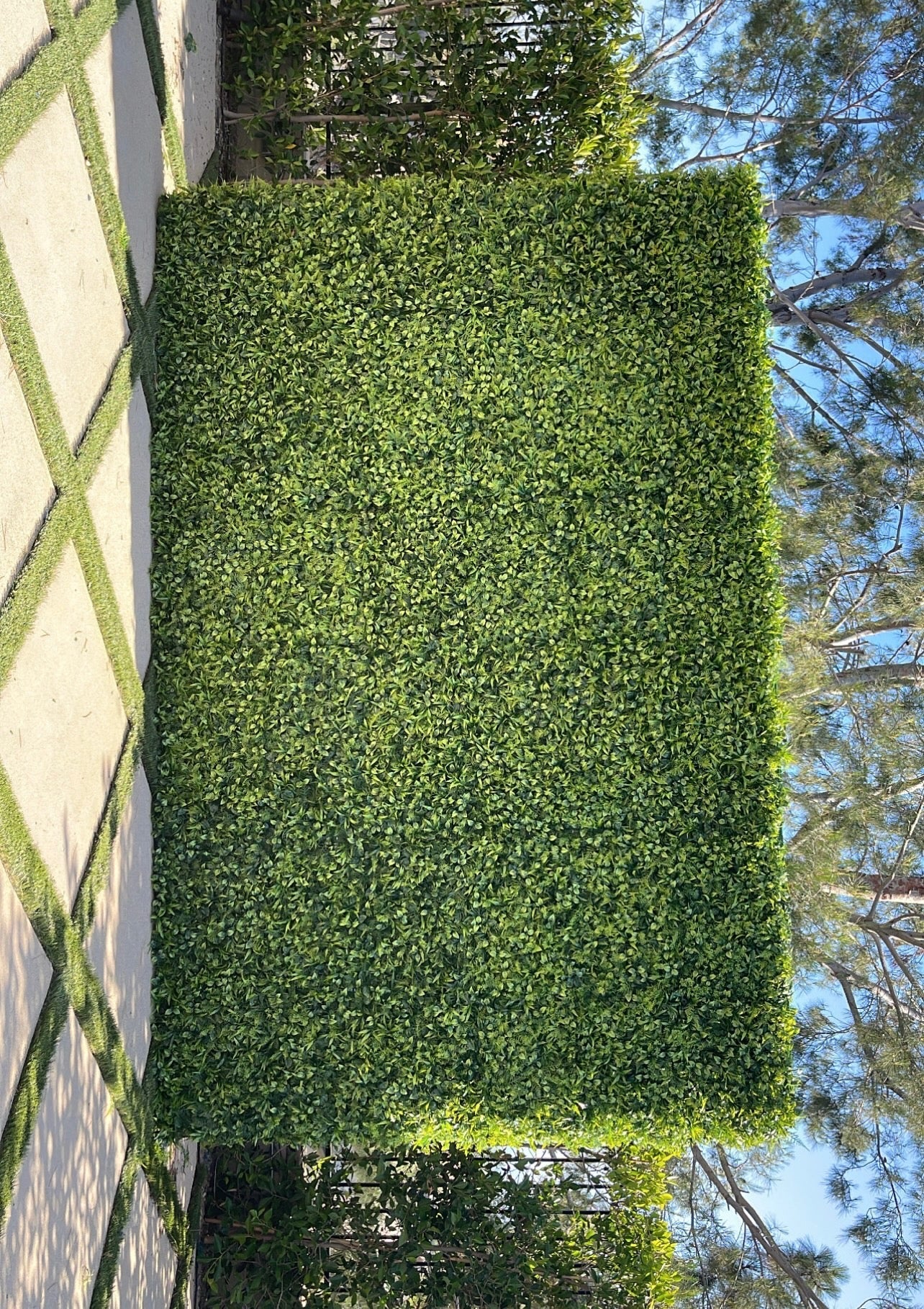 Backdrop Green Forrest - Custom Prop Rentals