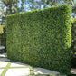 Backdrop Green Forrest - Custom Prop Rentals