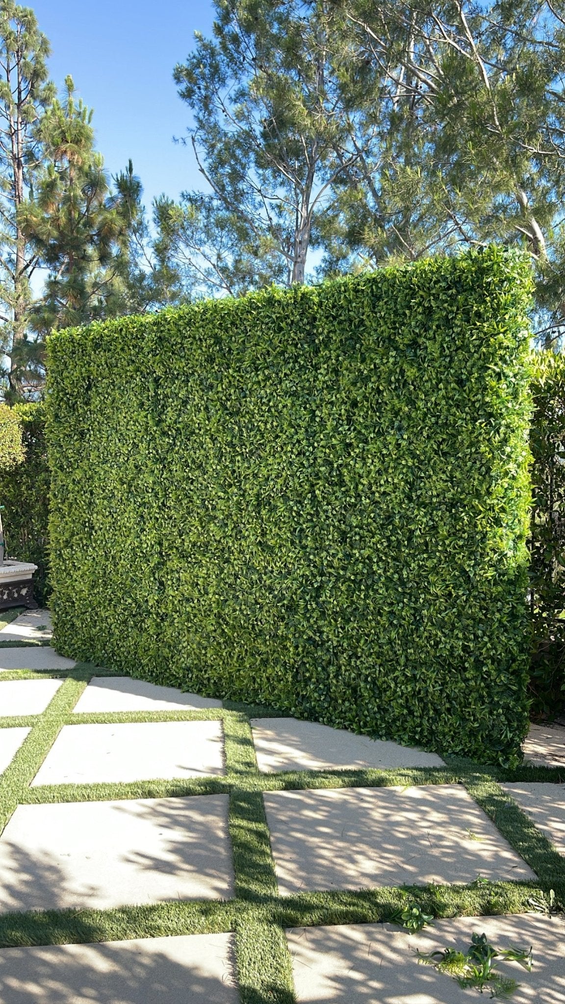Backdrop Green Forrest - Custom Prop Rentals