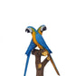Blue Macaw Lover Parrot on Branch - Custom Prop Rentals