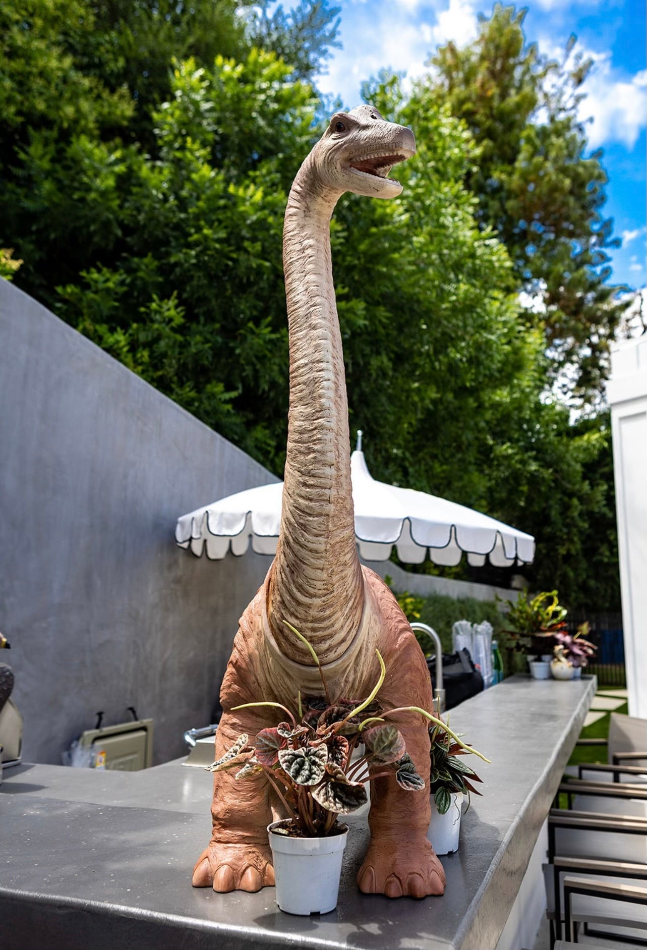 Brachiosaurus Baby Dinosaur - Custom Prop Rentals