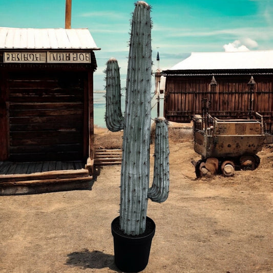 Cactus - Custom Prop Rentals