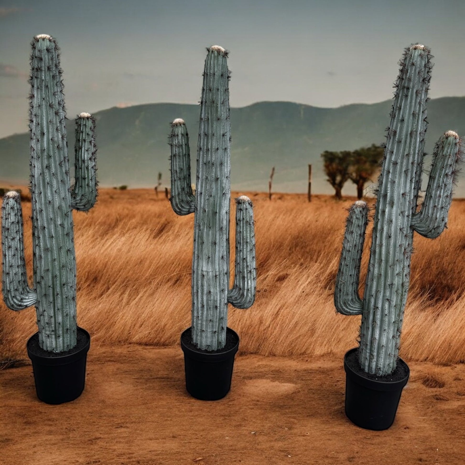 Cactus - Custom Prop Rentals