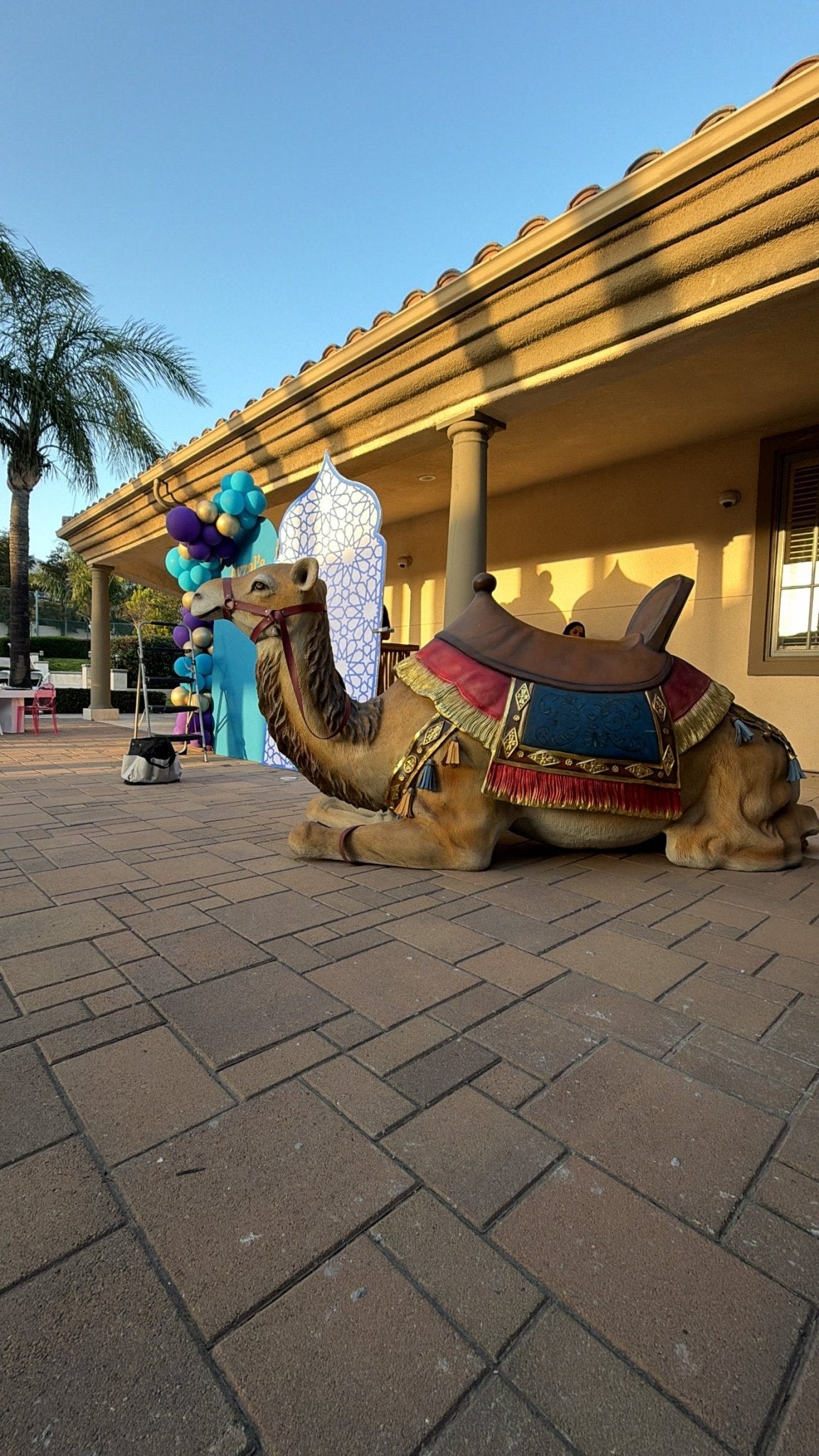 Camel Laying - Custom Prop Rentals