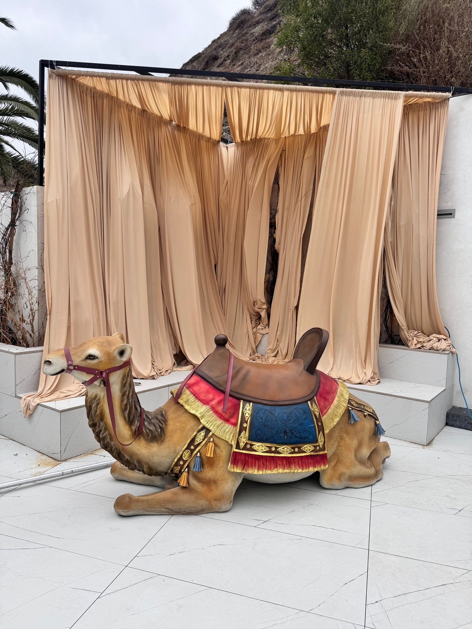 Camel Laying - Custom Prop Rentals