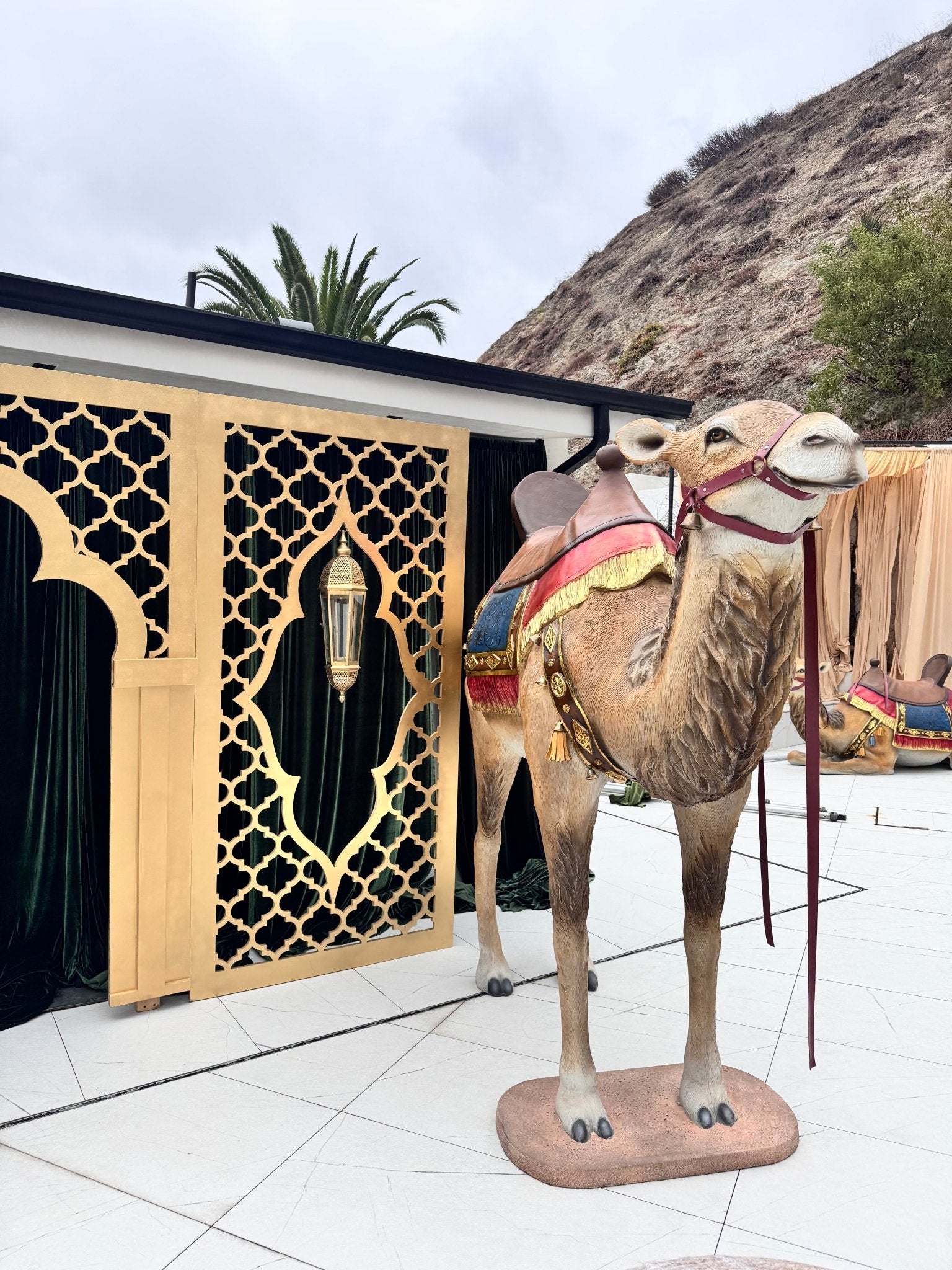 Camel Standing - Custom Prop Rentals