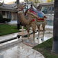 Camel Standing - Custom Prop Rentals