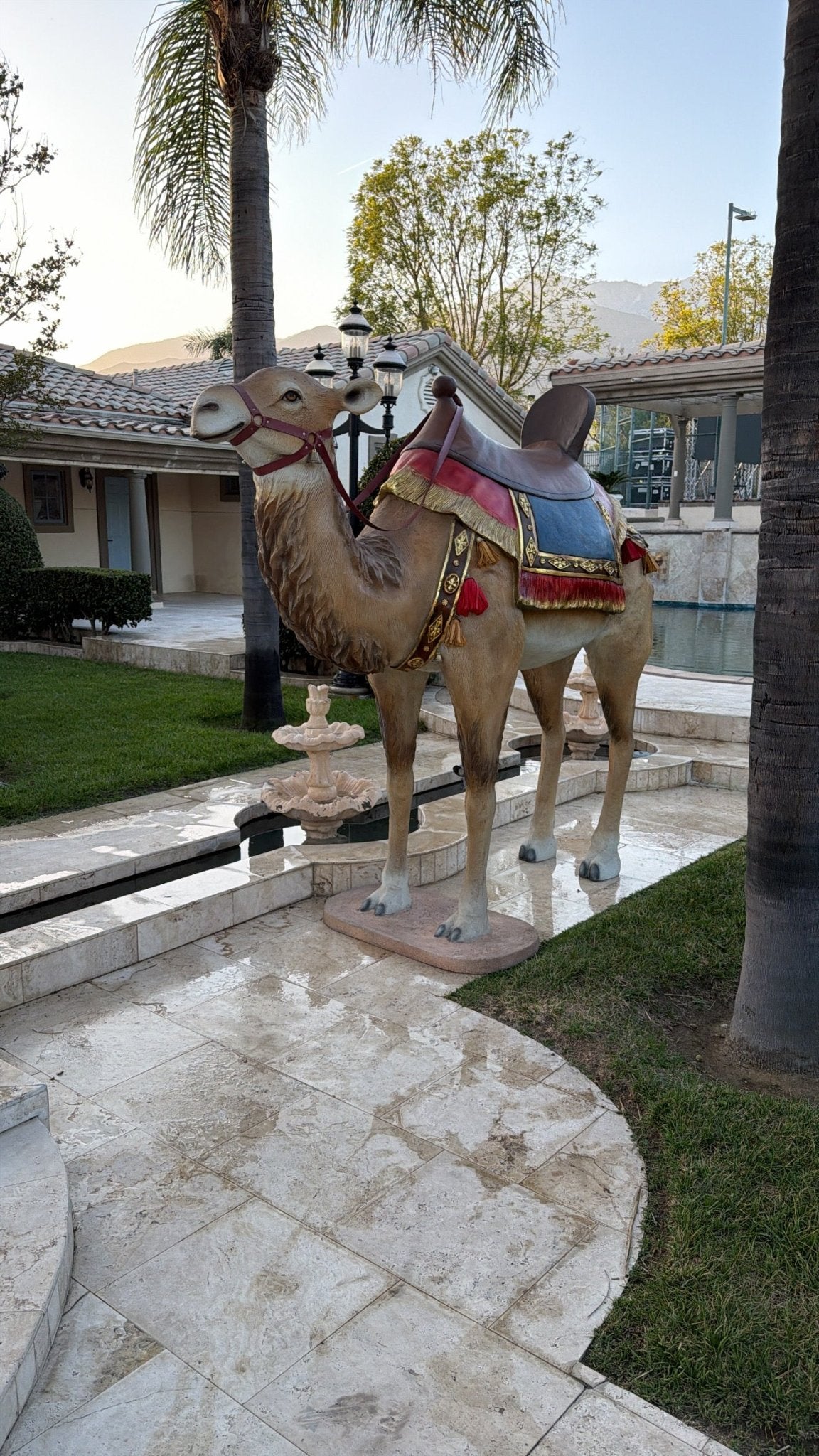 Camel Standing - Custom Prop Rentals
