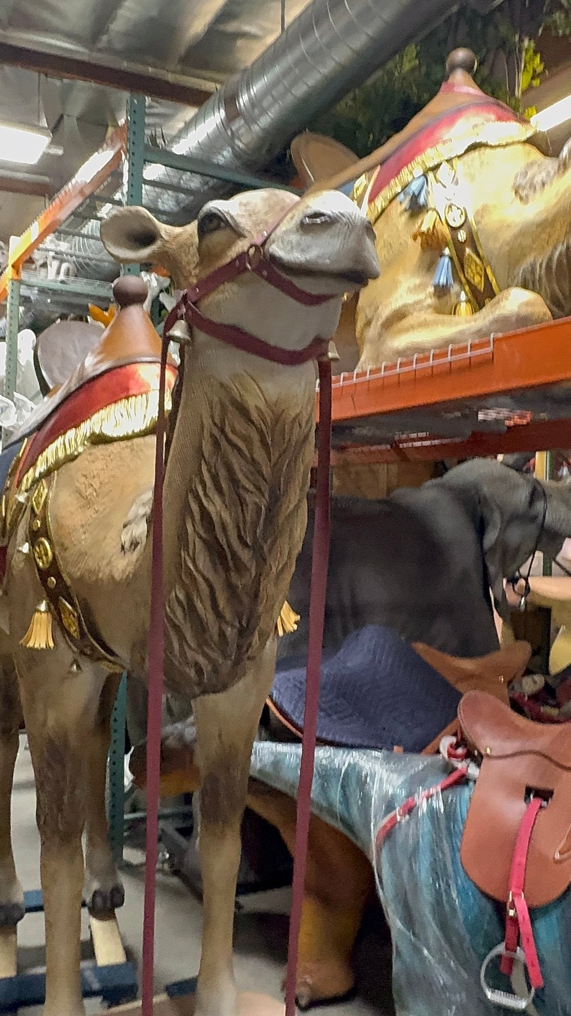 Camel Standing - Custom Prop Rentals