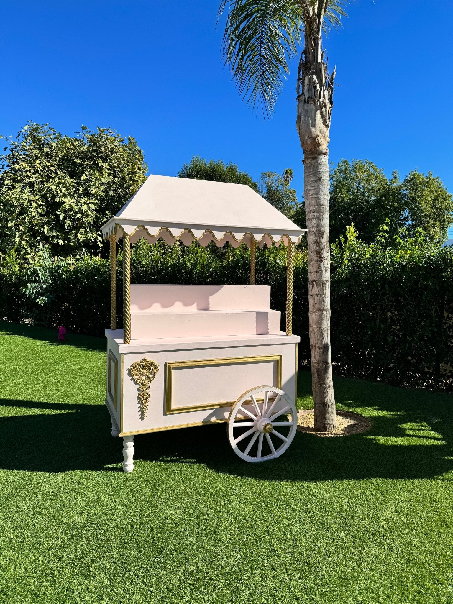 Cart Fancy in Pink - Custom Prop Rentals