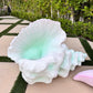 Conch Shell Green - Custom Prop Rentals