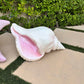 Conch Shell Pink - Custom Prop Rentals