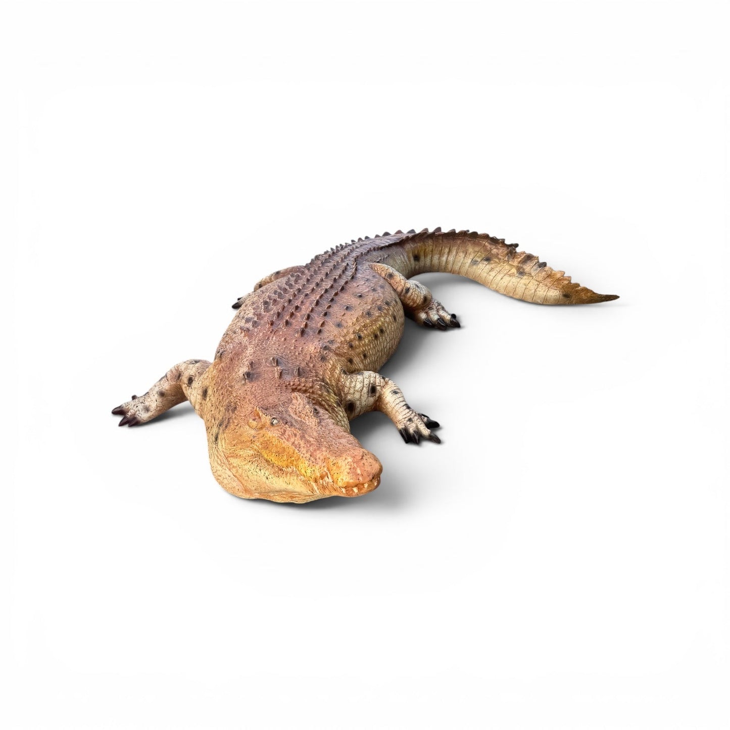 Crocodile Mouth Closed - Custom Prop Rentals