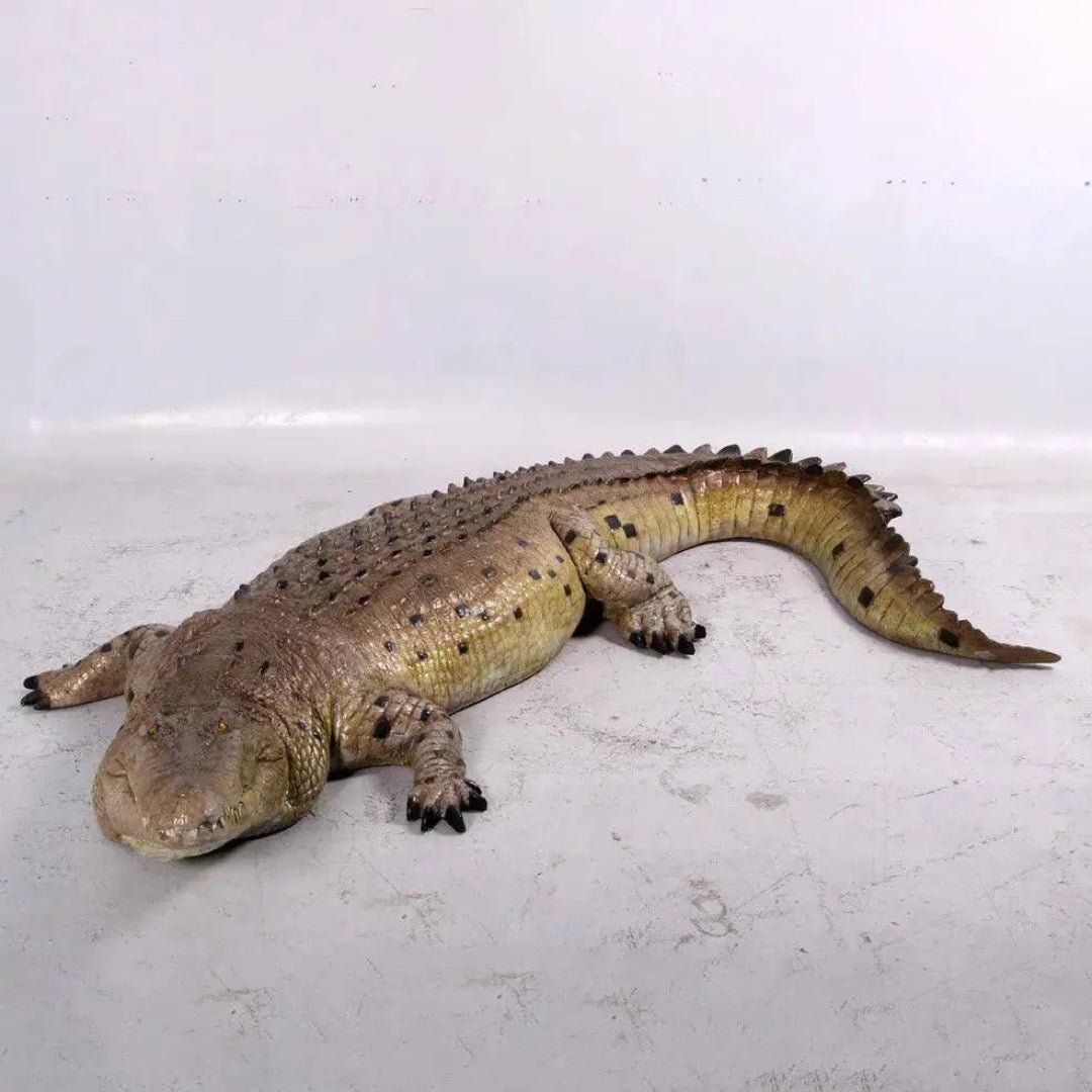 Crocodile Mouth Closed - Custom Prop Rentals