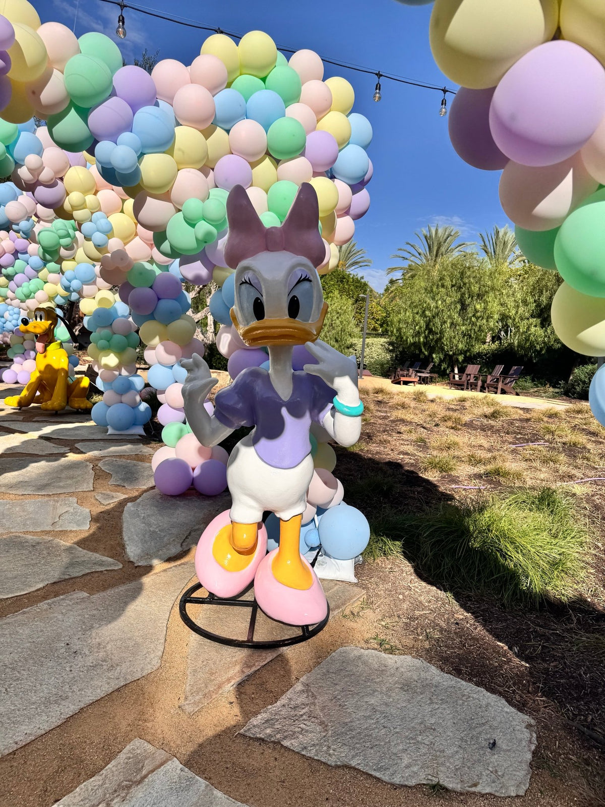 Daisy - Custom Prop Rentals