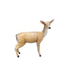 Deer Doe Adult - Custom Prop Rentals